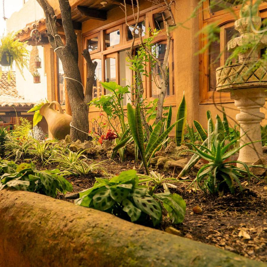 Hospedaje Boutique Paz Creativa San Cristóbal de Las Casas 외부 사진