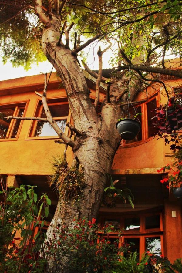 Hospedaje Boutique Paz Creativa San Cristóbal de Las Casas 외부 사진